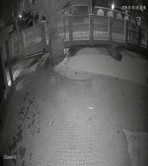 Caméra IP - Südafrika