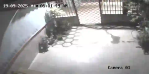 Caméra IP - Venezuela