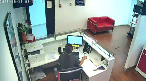 Caméra IP - United Arab Emirates