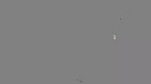 Caméra IP - Hong Kong