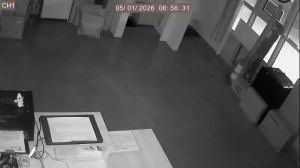 Caméra IP - Russian Federation