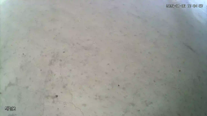 Caméra IP - Corée du Sud