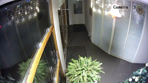 Caméra IP - Netherlands