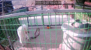 Caméra IP - South Korea