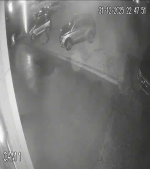 Caméra IP - Denmark