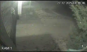 Caméra IP - Österrike