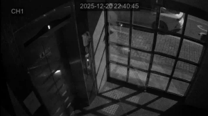 Caméra IP - Südkorea