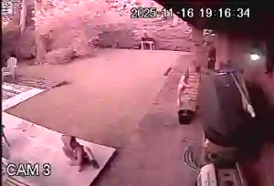 Caméra IP - Argentina