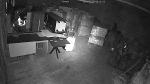 Caméra IP - Curaçao