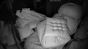 Caméra IP - Bulgaria