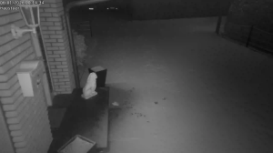 Caméra IP - Germany