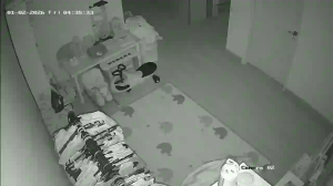 Caméra IP - Malaysia