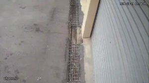 Caméra IP - South Africa