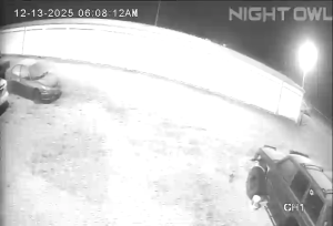 Caméra IP - États-Unis d'Amérique