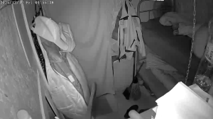 Caméra IP - Russische Föderation