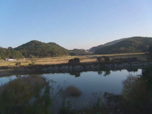 Caméra IP - South Korea