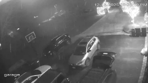 Caméra IP - United States of America