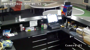 Caméra IP - Dänemark