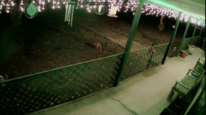 Caméra IP - Vereinigte Staaten von Amerika