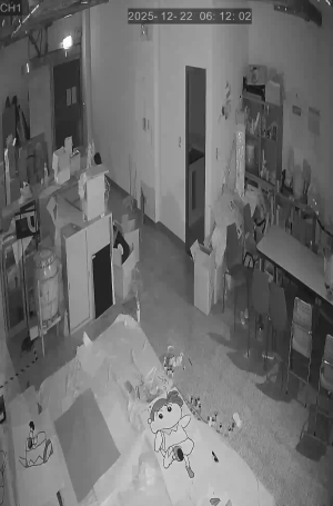 Caméra IP - Taiwán