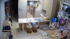 Caméra IP - Singapour