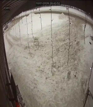 Caméra IP - Russian Federation