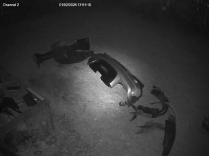 Caméra IP - United States of America