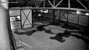 Caméra IP - Russian Federation