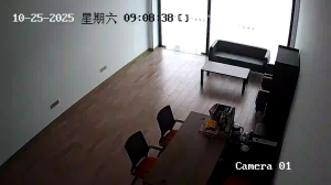 Caméra IP - China
