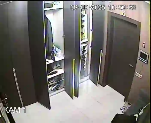 Caméra IP - Russian Federation