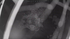 Caméra IP - Südkorea