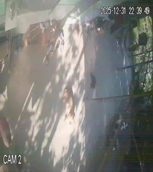 Caméra IP - Vietnam