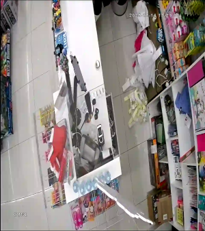 Caméra IP - Russische Föderation