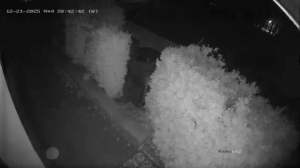 Caméra IP - Czech Republic