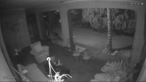 Caméra IP - Sudafrica