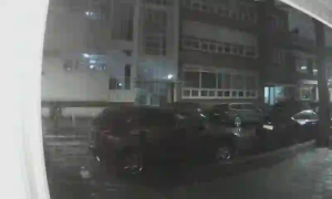 Caméra IP - Pays-Bas