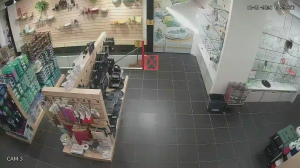 Caméra IP - Malaysia