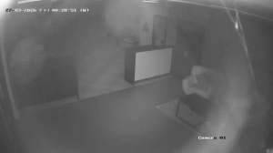 Caméra IP - Denmark