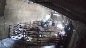 Caméra IP - Stati Uniti d'America