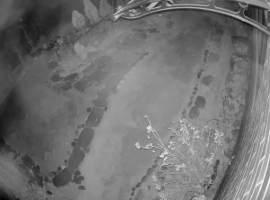 Caméra IP - República de Corea