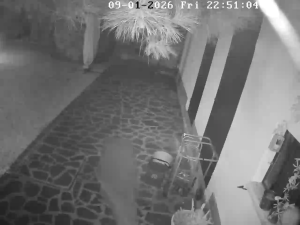 Caméra IP - Italien