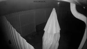 Caméra IP - États-Unis d'Amérique