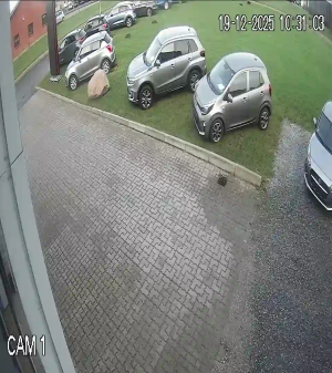 Caméra IP - Dinamarca