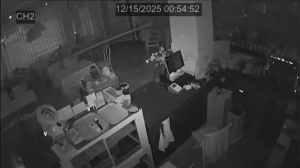 Caméra IP - South Korea