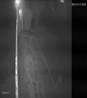 Caméra IP - Pakistan