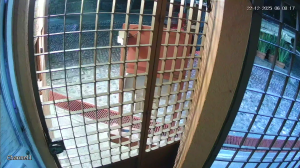 Caméra IP - Mexique