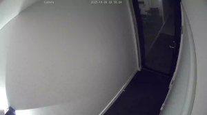 Caméra IP - Pays-Bas