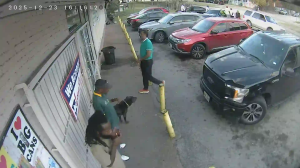 Caméra IP - Vereinigte Staaten von Amerika