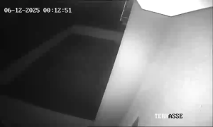 Caméra IP - Allemagne