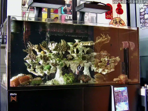 Caméra IP - Singapur